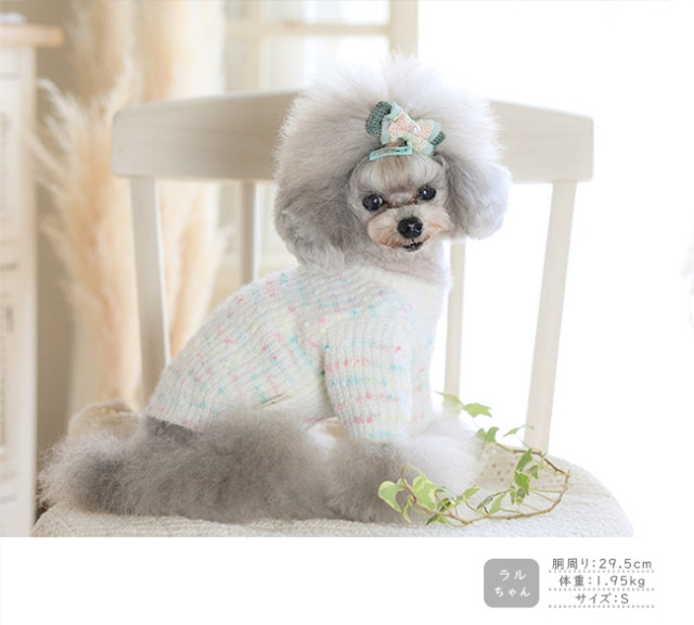 ミックスカラーニット 可愛い小型犬の洋服通販 鎌倉ドッグ
