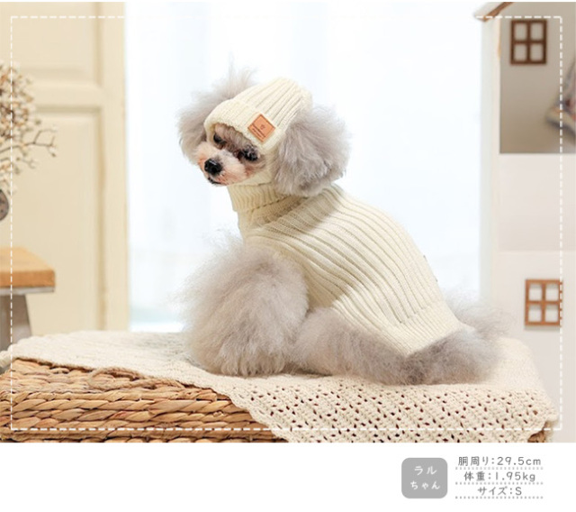 t1352ra2.jpg?t=20241017125644