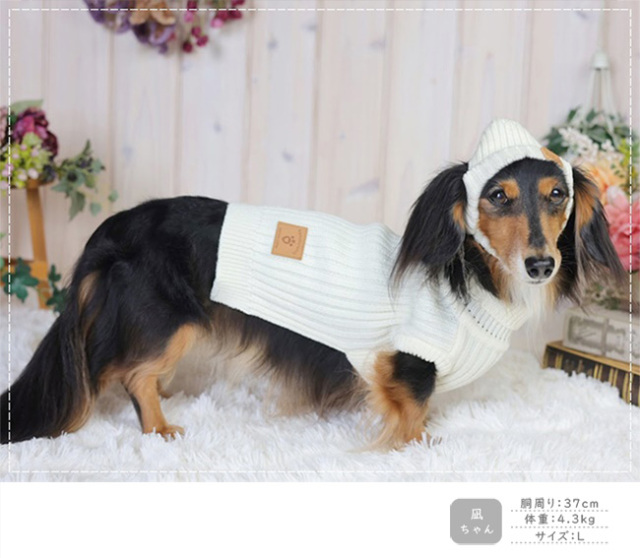 太リブハイネックニット＆ニット帽 可愛い小型犬の洋服通販 鎌倉ドッグ