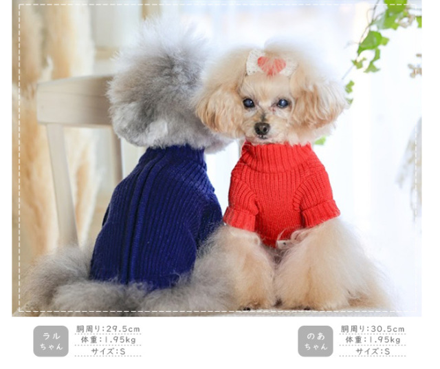 ジップアップリブニット 可愛い小型犬の洋服通販 鎌倉ドッグ
