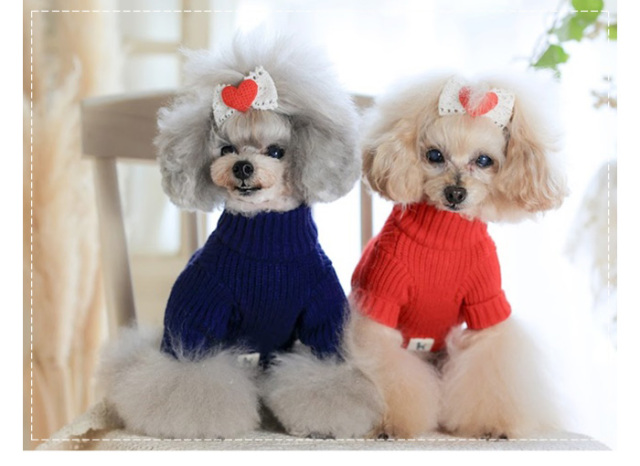 ジップアップリブニット 可愛い小型犬の洋服通販 鎌倉ドッグ