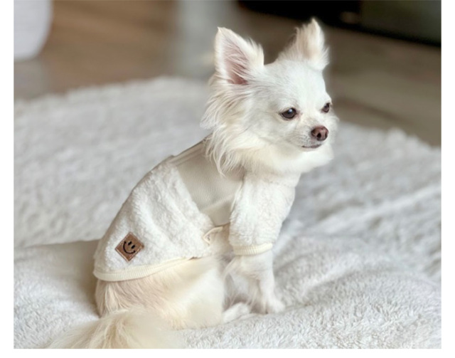 ボア切り替えジャケット 可愛い小型犬の洋服通販 鎌倉ドッグ