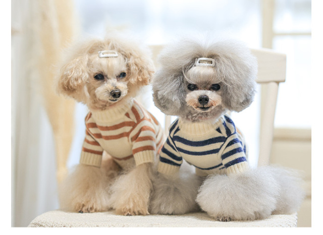 ワン！くまさんアメリカンドック くまさんとキャンプベスト S/M/L/XL/XXL BROWNIE'S-ブラウニーズ- 犬服