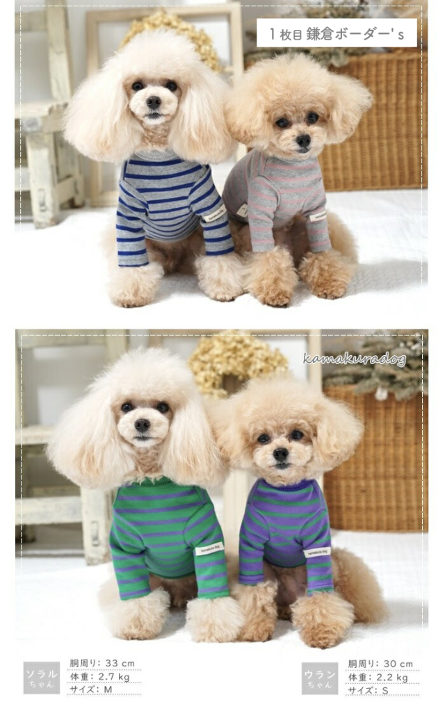 4点福袋 可愛い小型犬の洋服通販 鎌倉ドッグ