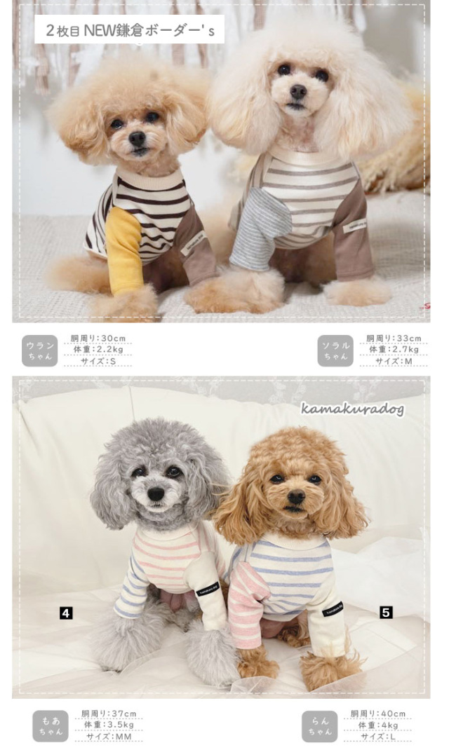 4点福袋 可愛い小型犬の洋服通販 鎌倉ドッグ
