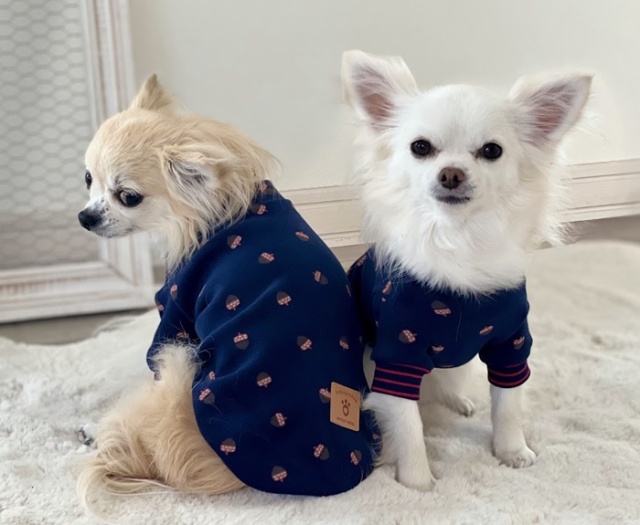 t1382t1.jpg?t=20250212123012