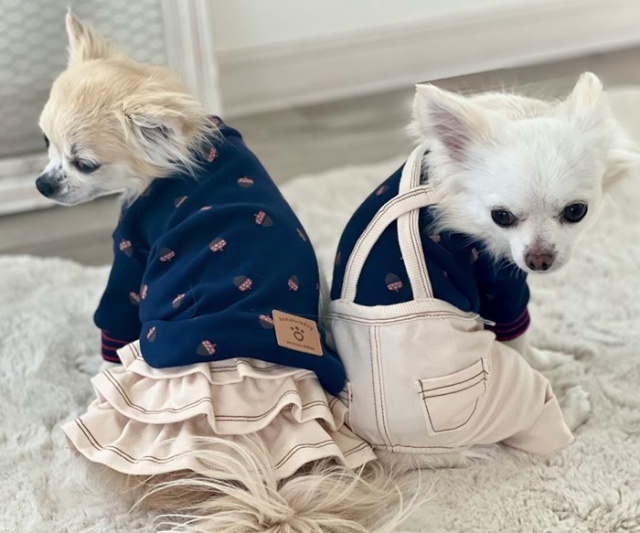 どんぐりの森トップス 可愛い小型犬の洋服通販 鎌倉ドッグ