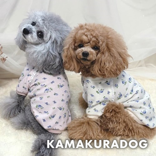 送料込み。トイプードルレッドちゃん。もふもふビッグ♡デカプー
