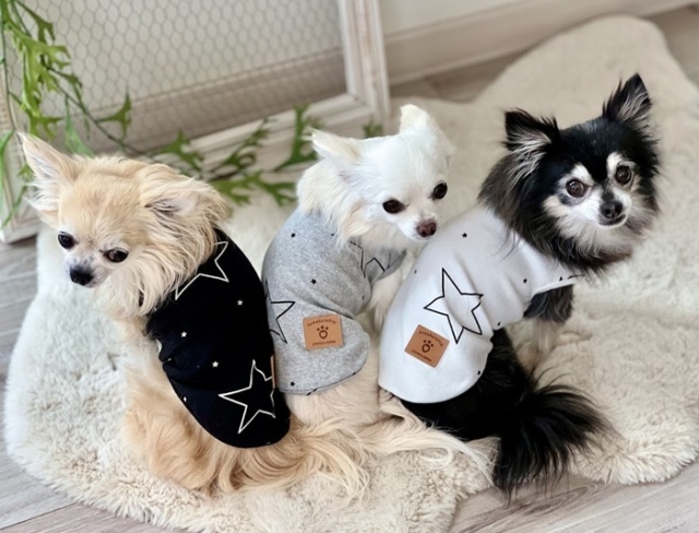 t1398ra2.jpg?t=20250319134159