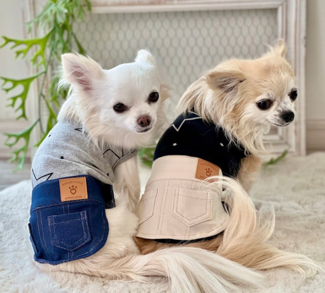 ステラタンク＆トップス＆つなぎ 可愛い小型犬の洋服通販 鎌倉ドッグ