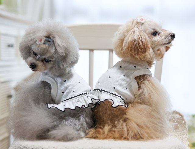 ☆ リトルクローバー様　ハンドメイド犬服ニット☆ いち こと おていちゃん on X