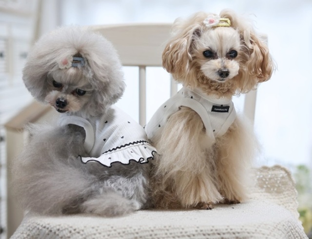 t1399ra3.jpg?t=20250317131953