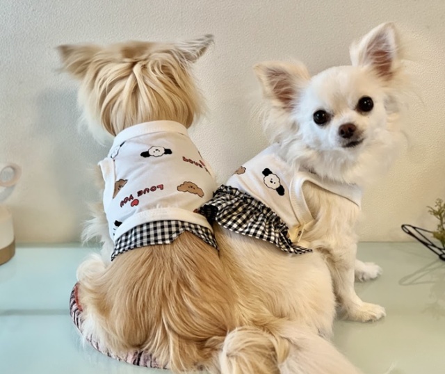 【新品】W143♡ボリュームフリル♡もふもふケ-プ防寒着ネックレス付-小型犬 ひまわり柄ロンパース S/M/L/XL/XXL BROWNIE'S-ブラウニーズ- 犬