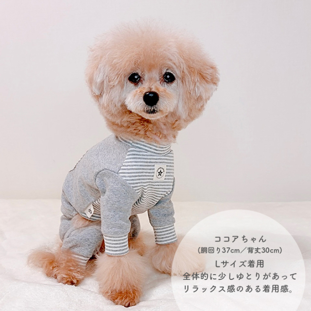 ハートボーダータンク 可愛い小型犬の洋服通販 鎌倉ドッグ