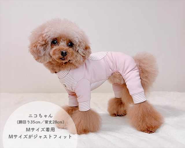 ハートボーダータンク 可愛い小型犬の洋服通販 鎌倉ドッグ