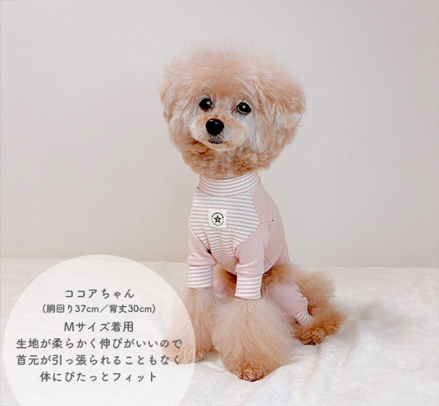 ハートボーダータンク 可愛い小型犬の洋服通販 鎌倉ドッグ