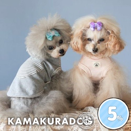 ハートボーダータンク・つなぎ