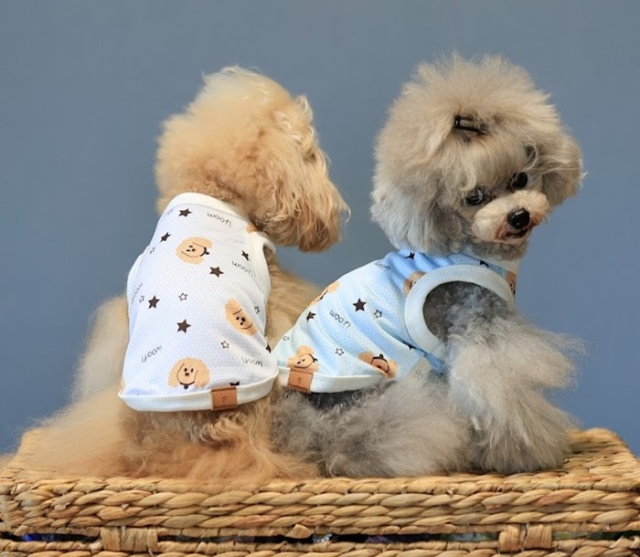 COOLプードルメッシュタンク 可愛い小型犬の洋服通販 鎌倉ドッグ