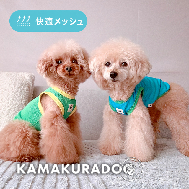 アクティブカラータンク