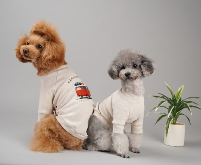 15thアニバーサリートップス 可愛い小型犬の洋服通販 鎌倉ドッグ