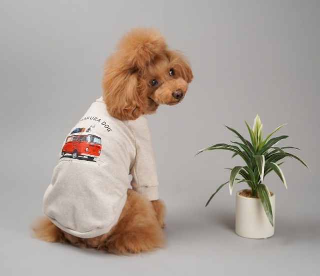 15thアニバーサリートップス 可愛い小型犬の洋服通販 鎌倉ドッグ