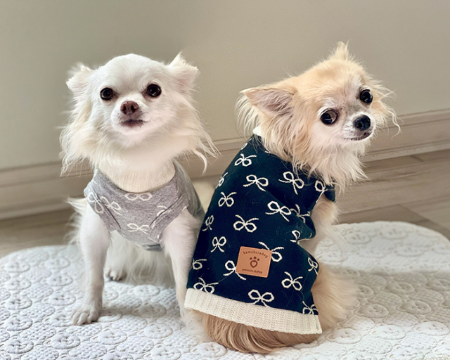 リュバンドール　犬服 t1445ra2.jpg?t=20250929143917