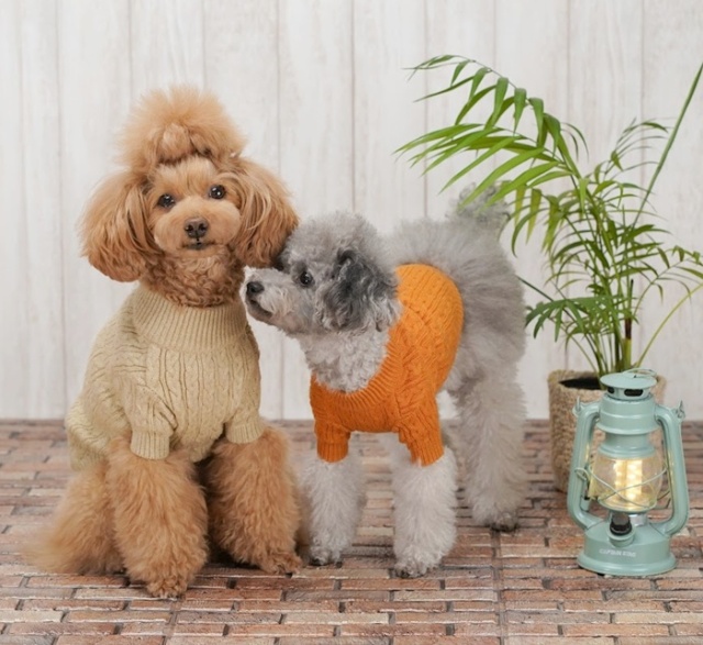 トラッドケーブルニット 可愛い小型犬の洋服通販 鎌倉ドッグ
