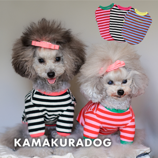 メリーデイズボーダー