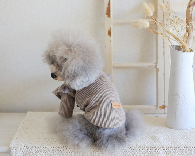 フレンチフリルトップス 可愛い小型犬の洋服通販 鎌倉ドッグ