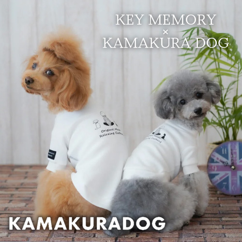 小型犬の犬服 新商品