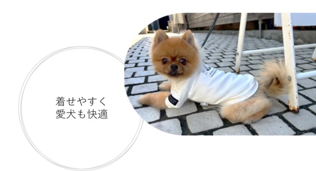 KEY MEMORY様コラボ商品 可愛い小型犬の洋服通販 鎌倉ドッグ