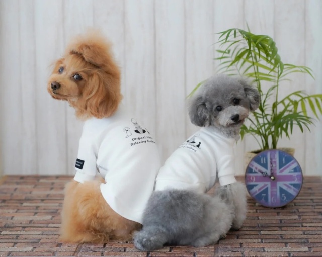 t1453ra13.jpg?t=20251001144148