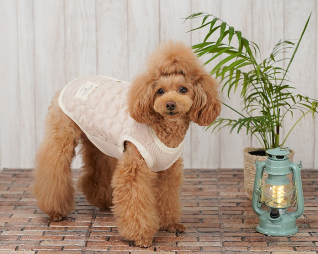 ハートキルトベスト・マット 可愛い小型犬の洋服通販 鎌倉ドッグ