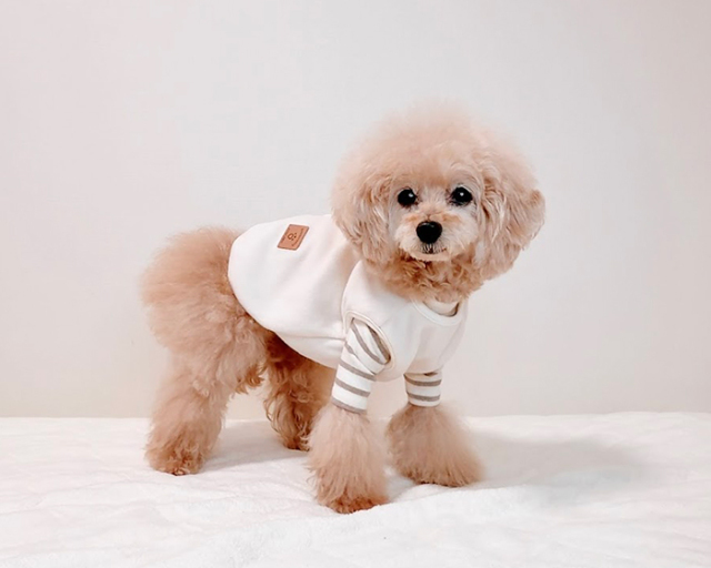 コージーフリースベスト 可愛い小型犬の洋服通販 鎌倉ドッグ