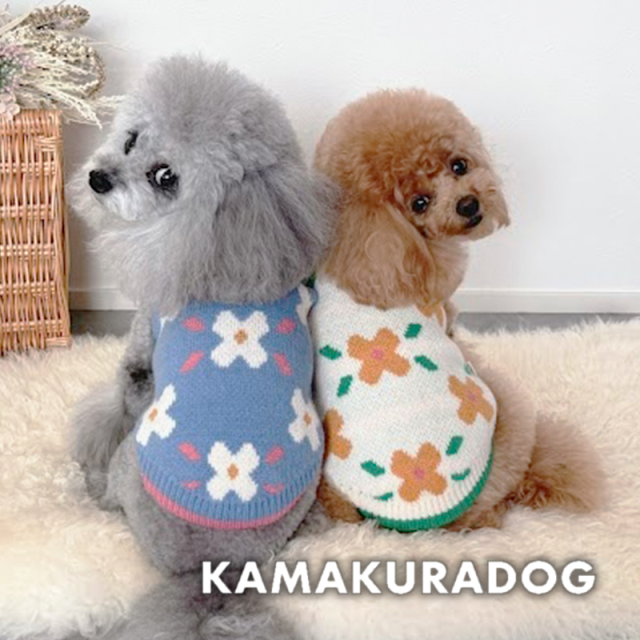 フラワリーニット