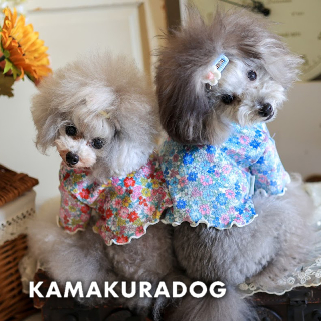 メロウフラワーショート丈