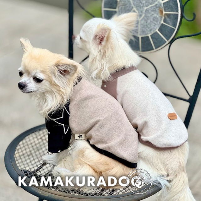 ★ラグランステラT