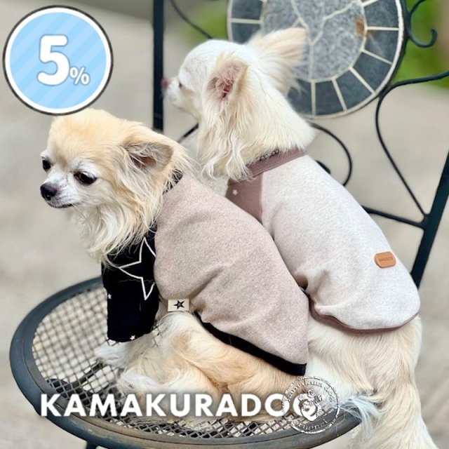 ★ラグランステラT