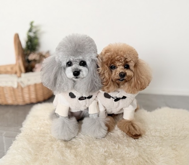 ファーケープベスト 可愛い小型犬の洋服通販 鎌倉ドッグ