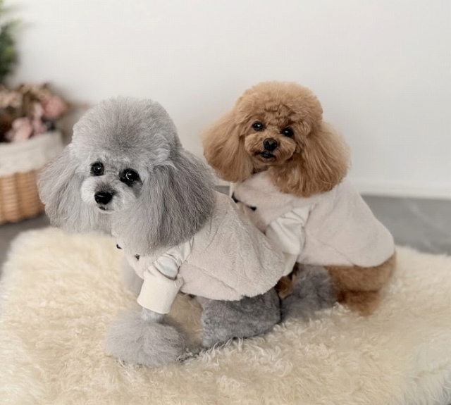 ファーケープベスト 可愛い小型犬の洋服通販 鎌倉ドッグ