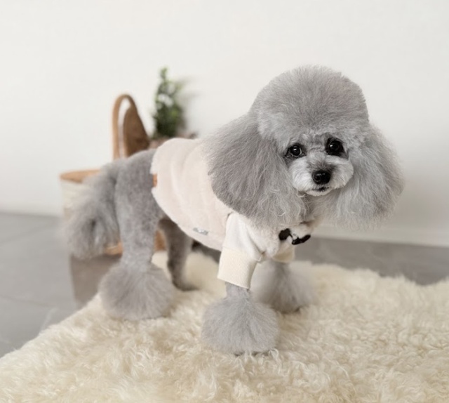 小型犬用ファー素材ドレス ファーケープベスト 可愛い小型犬の洋服通販