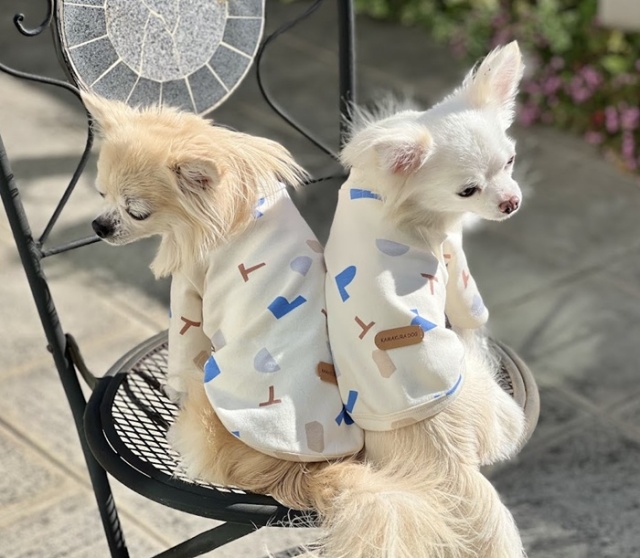 アートシェイプトップス 可愛い小型犬の洋服通販 鎌倉ドッグ