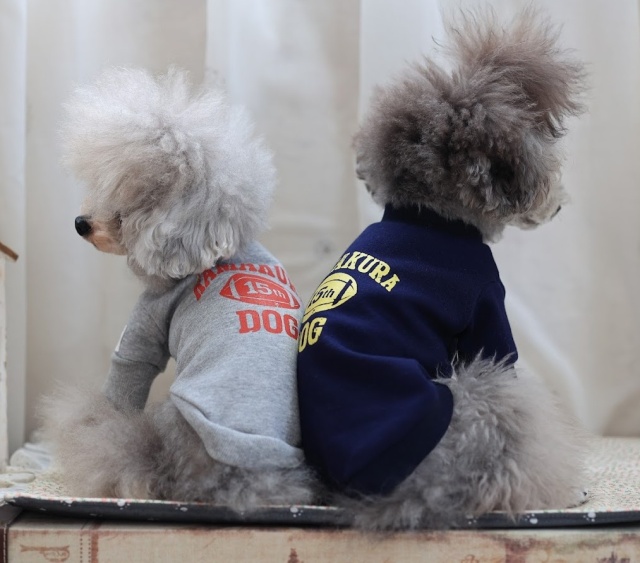 15thキャンパストレーナー 可愛い小型犬の洋服通販 鎌倉ドッグ