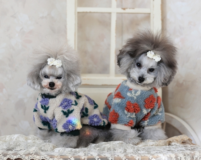 くすみフラワーボアトップス 可愛い小型犬の洋服通販 鎌倉ドッグ