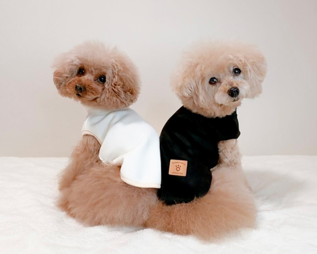 ソフトタッチベスト 可愛い小型犬の洋服通販 鎌倉ドッグ