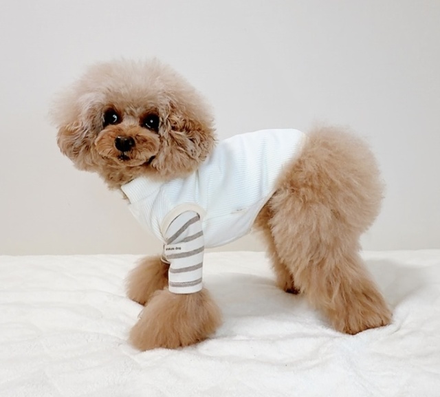 ソフトタッチベスト 可愛い小型犬の洋服通販 鎌倉ドッグ