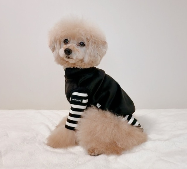 ソフトタッチベスト 可愛い小型犬の洋服通販 鎌倉ドッグ