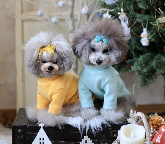 スタンプフリーストップス 可愛い小型犬の洋服通販 鎌倉ドッグ