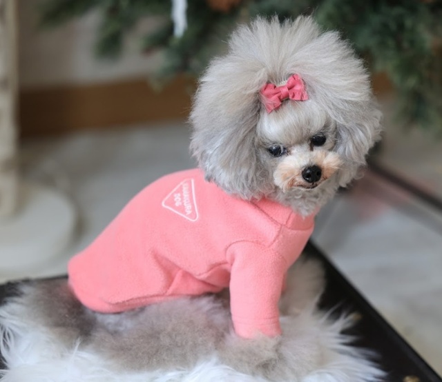 スタンプフリーストップス 可愛い小型犬の洋服通販 鎌倉ドッグ