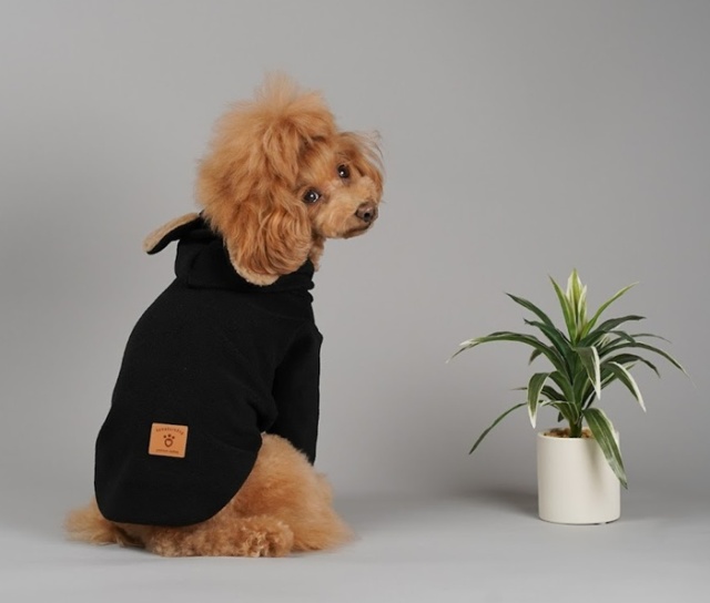 みみっこフーディ 可愛い小型犬の洋服通販 鎌倉ドッグ